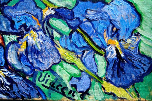 Irises Vincent van Gogh