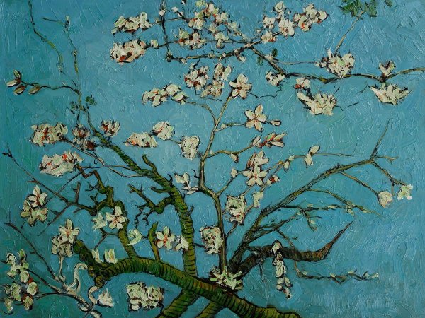 Цветение миндаля Ван Гог