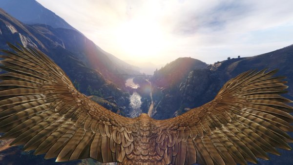 Орел в небе над горами