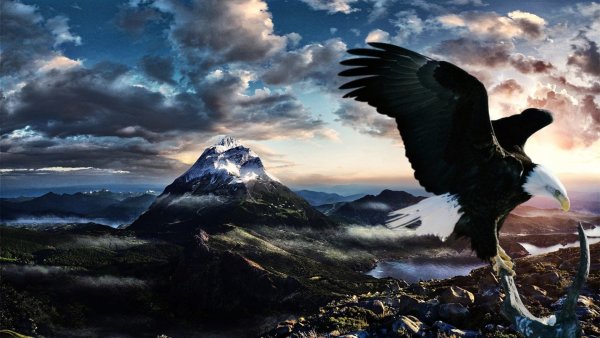 Орел на вершине горы