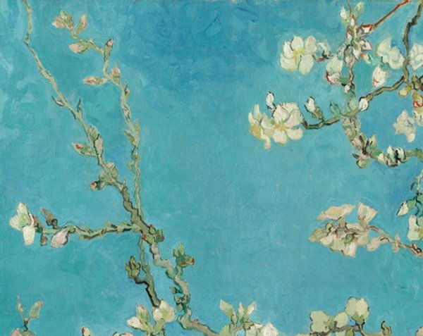Картина цветы на голубом фоне ван гог