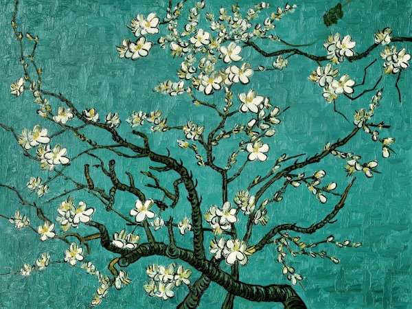 Van Gogh Almond Tree