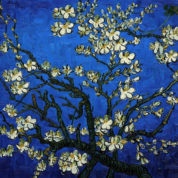 Винсент Ван Гог (Vincent van Gogh) — Цветущий миндаль (Almond Blossom), 1890