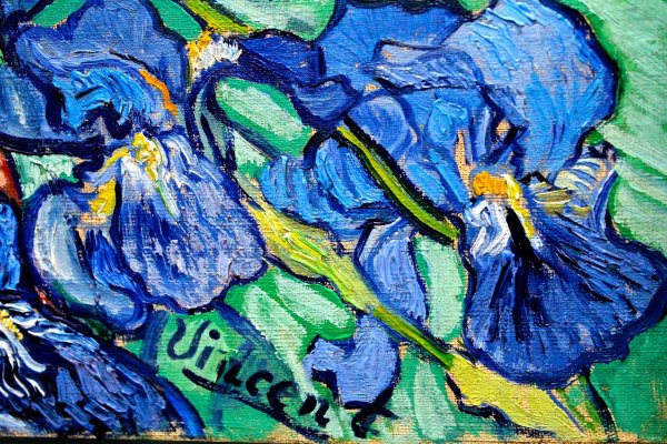 Винсент Ван Гог цветы голубые