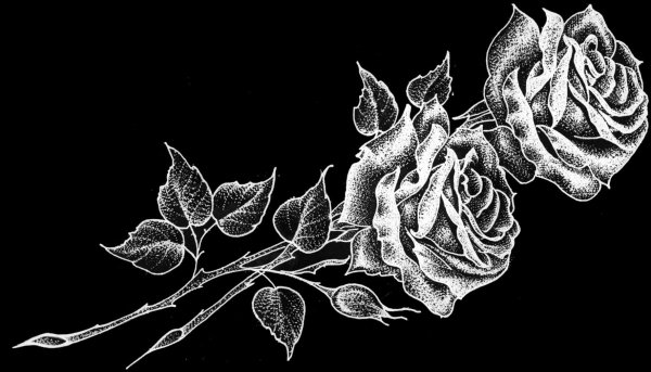 Розы на памятник для гравировки