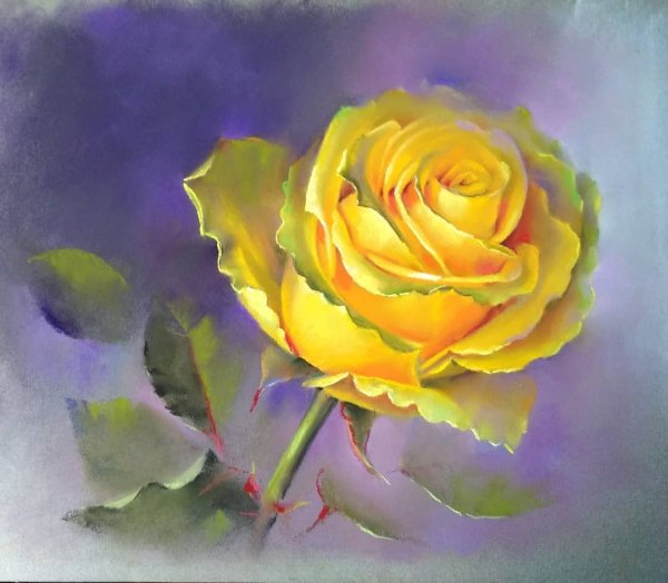 Вера Кавура художник розы
