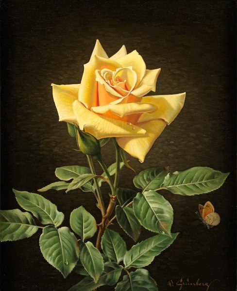 Желтая роза художник Вольфганг Грюнберг