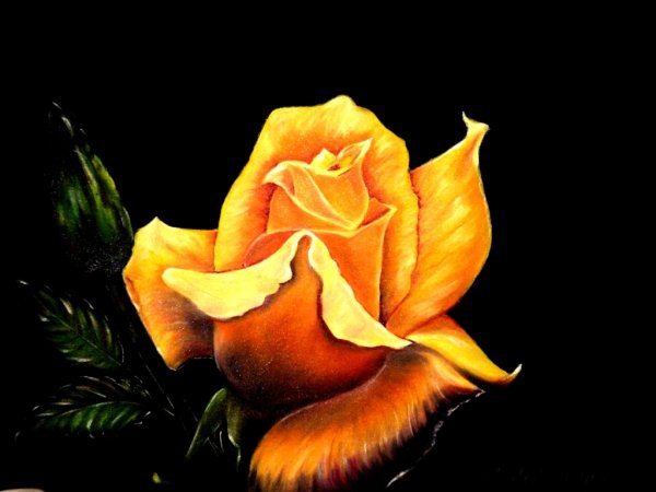 Желтые розы живопись