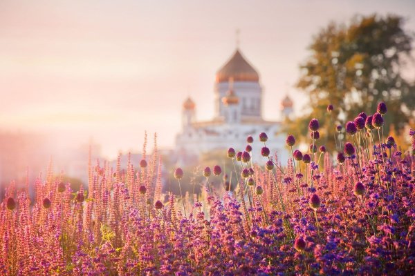 Цветы на фоне храма