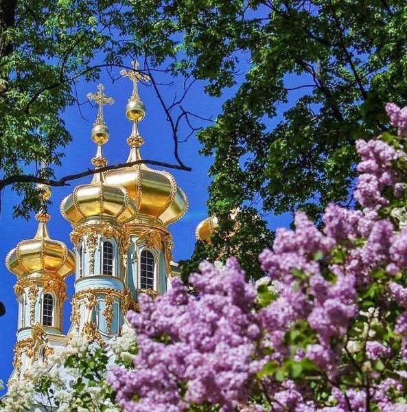 Царское село Санкт-Петербург весной