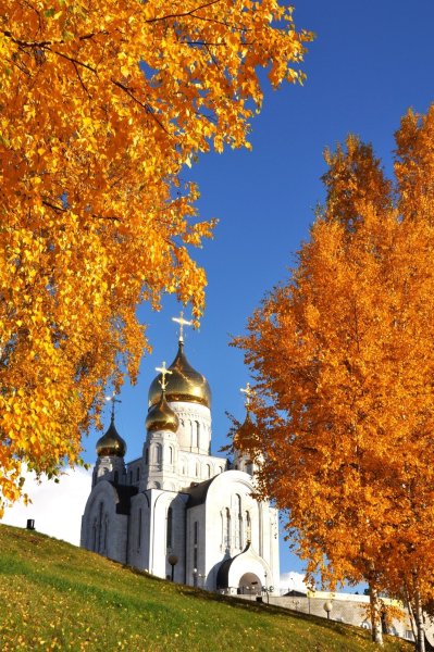 Золотая осень храмы Вологда