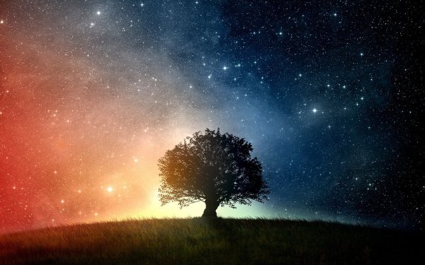Дерево на фоне космоса