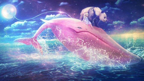 Розовые дельфины