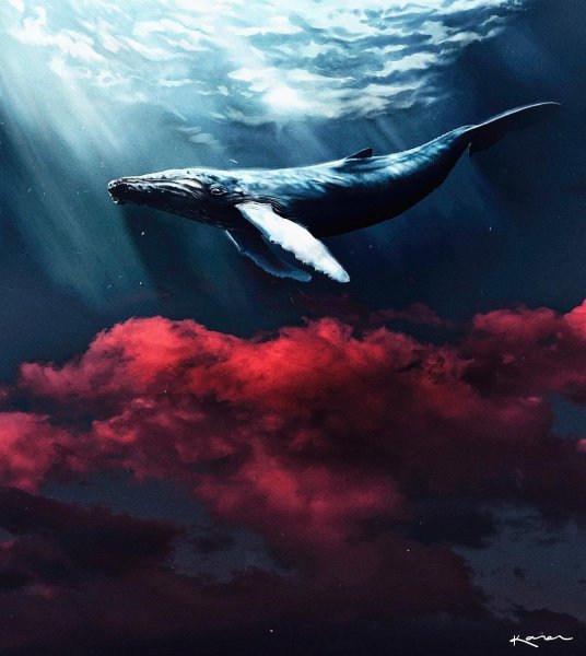Северный голубой кит