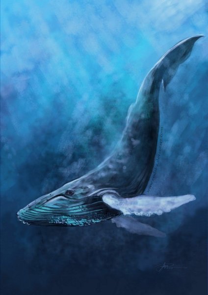 Синий кит Горбач
