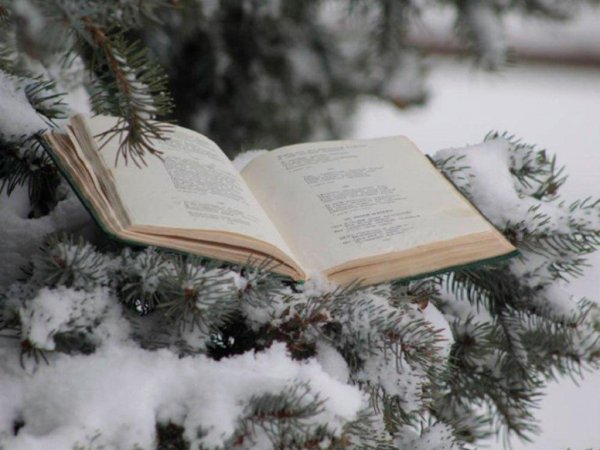 Книга на снегу