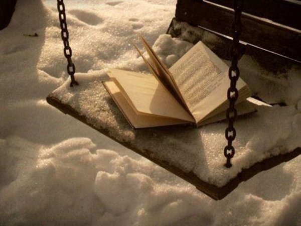 Книга на фоне зимы