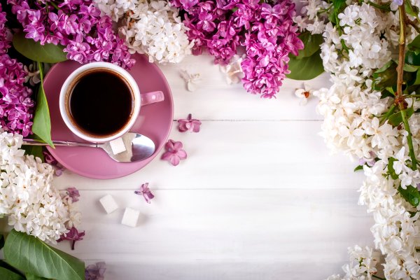 Заставка на рабочий стол кофе и цветы