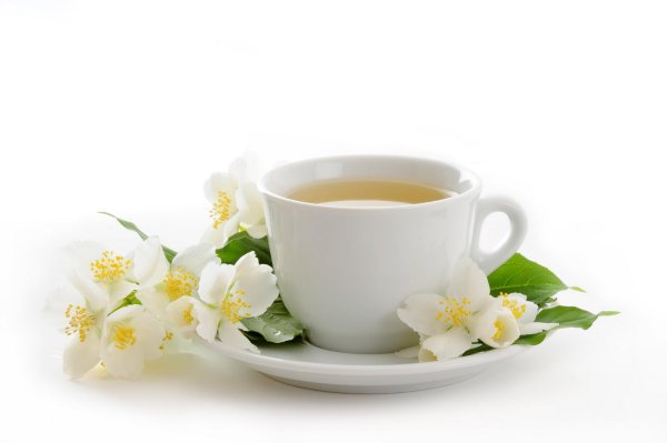 Кофе и цветок на белом фоне