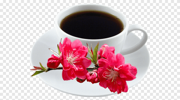 Чай,кофе с цветами