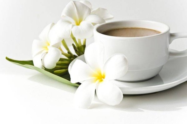 Чашка кофе и белые цветы