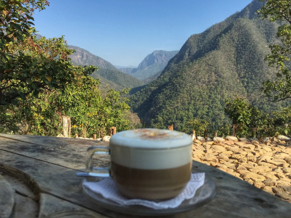Кофе на фоне гор