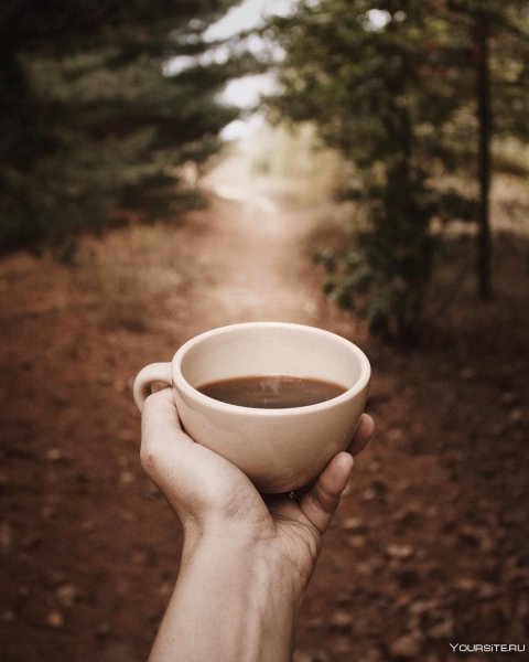 Кофе на фоне леса