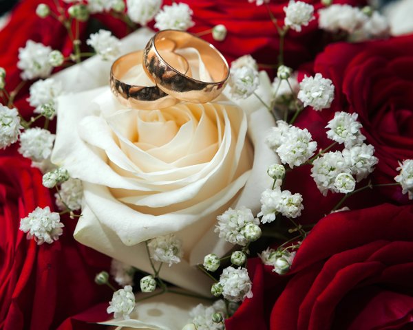 Розы и обручальные кольца