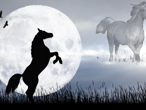 Лошадь на фоне Луны