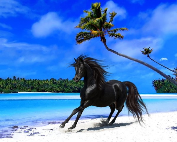 Конь на берегу моря