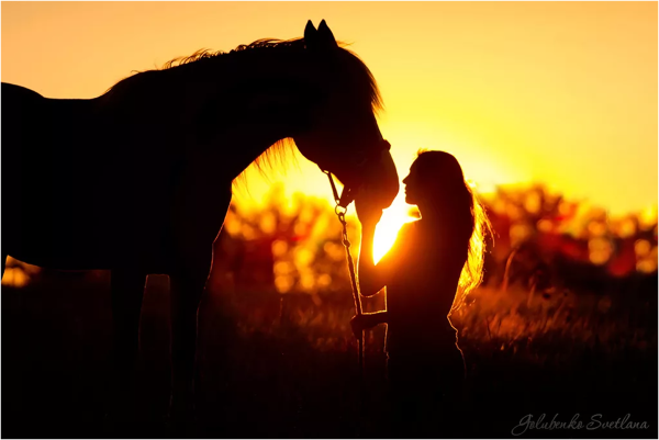Девочка с лошадью на закате