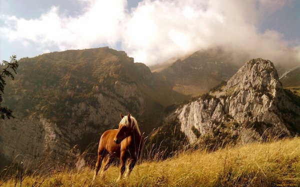 Национальный парк Алания в Северной Осетии