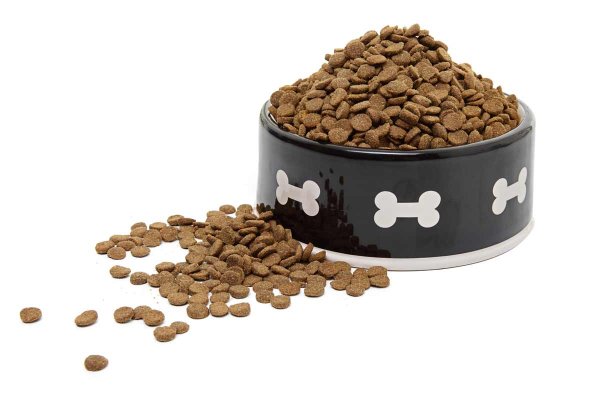 Сухой корм для собак в миске