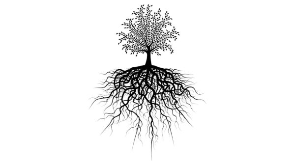 Дерево с корнями силуэт