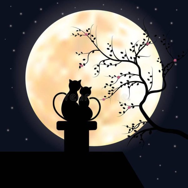 Силуэт кота на фоне Луны