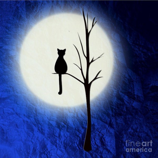 Кот на ветке на фоне Луны