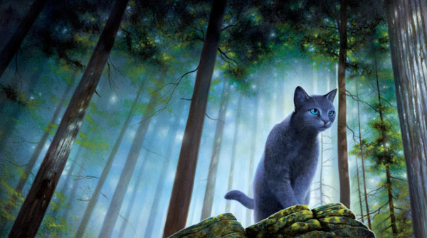 Коты Воители лес