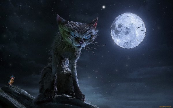 Ночь Луна кот