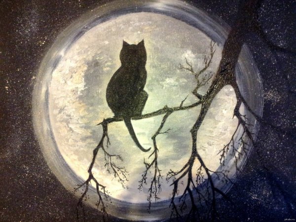 Кошка на фоне луны арт
