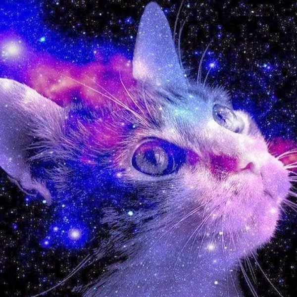 Космические коты фон