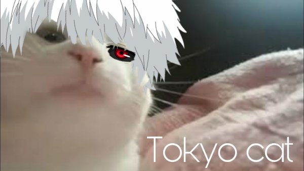 Токийский гуль котик