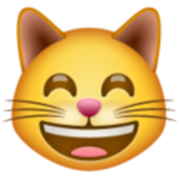 Улыбающийся кот смайлик
