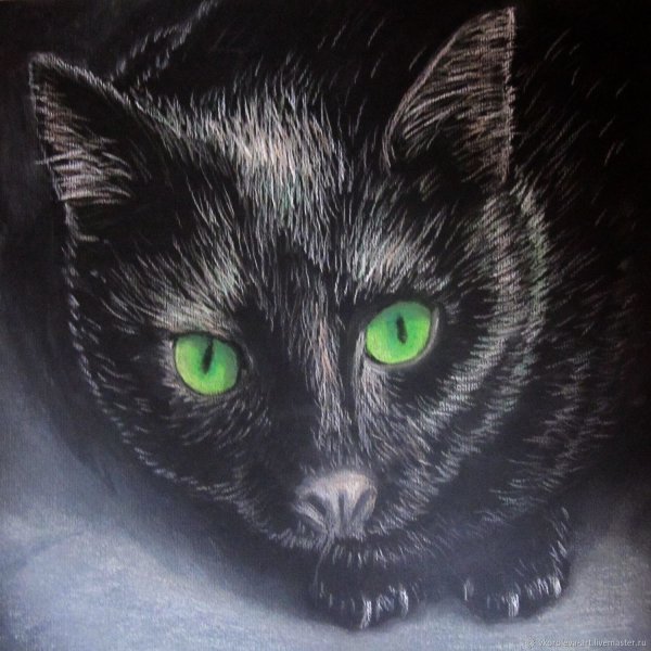 Черный кот пастелью