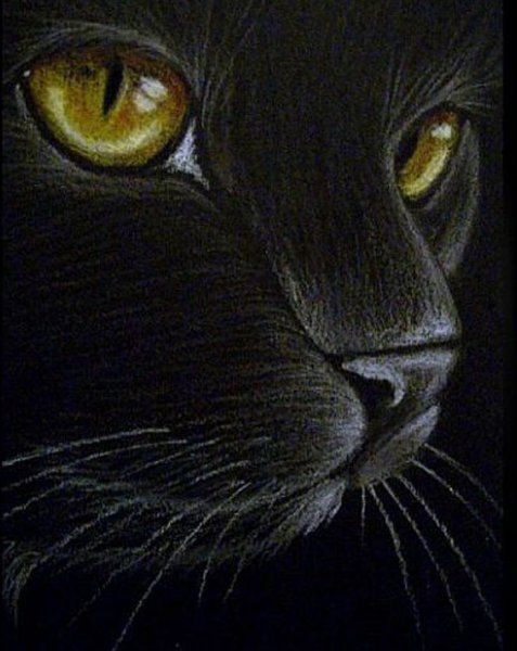 Кошка черная пастелью