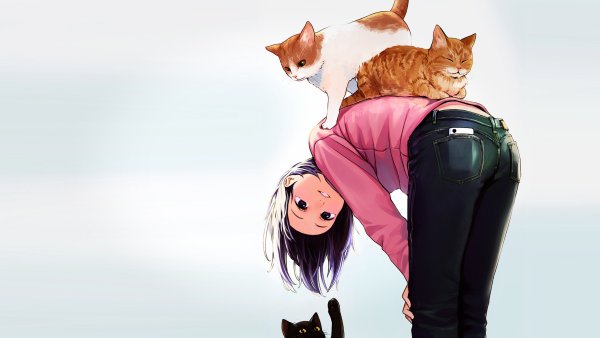 Кот на фоне девушки
