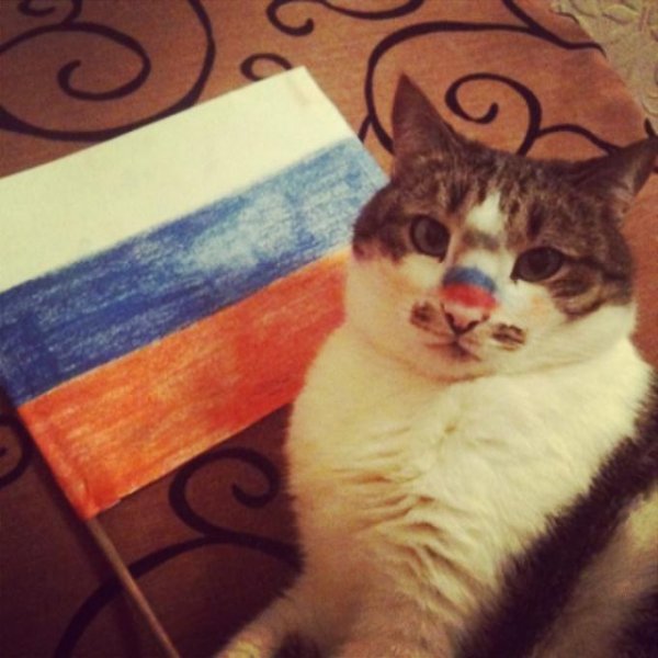Кот за Россию