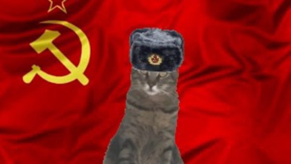 Кот коммунист в ушанке
