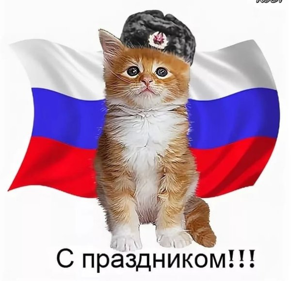 Котик с российским флагом флагом