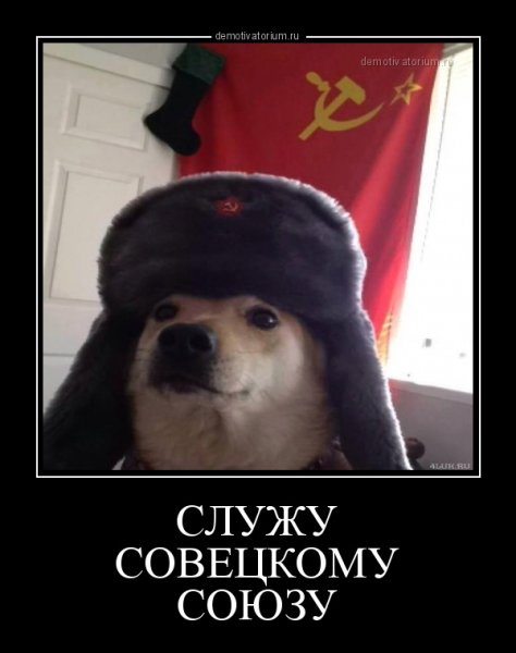 Пес с советским флагом