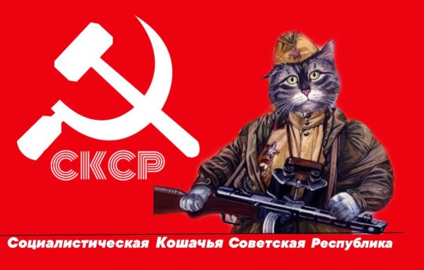 Кот с флагом СССР